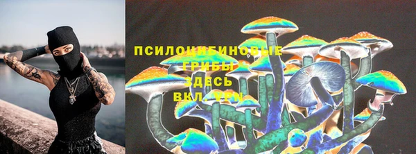 тгк Аркадак