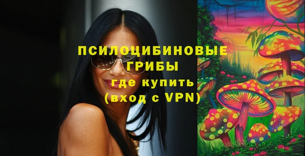 тгк Аркадак