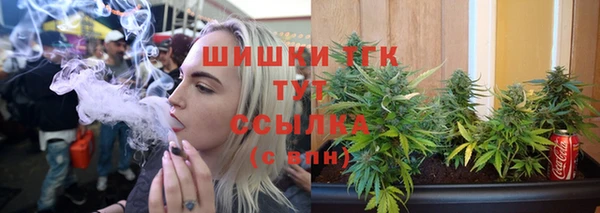 тгк Аркадак