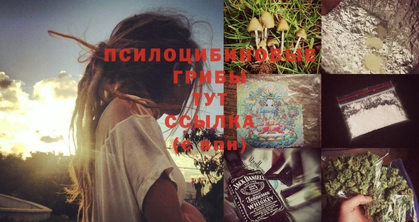 тгк Аркадак