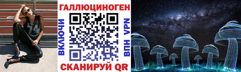 Псилоцибиновые грибы мухоморы  blacksprut ССЫЛКА  Циолковский  продажа наркотиков 
