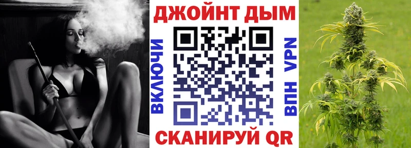 где можно купить   Циолковский  Марихуана ГИДРОПОН 